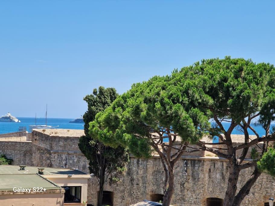 Cozy Studio, Sea View, Old Town, Near Beaches 昂蒂布 外观 照片
