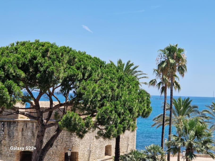 Cozy Studio, Sea View, Old Town, Near Beaches 昂蒂布 外观 照片